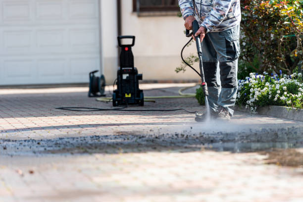 Best Roof Pressure Washing  in Cactus, TX