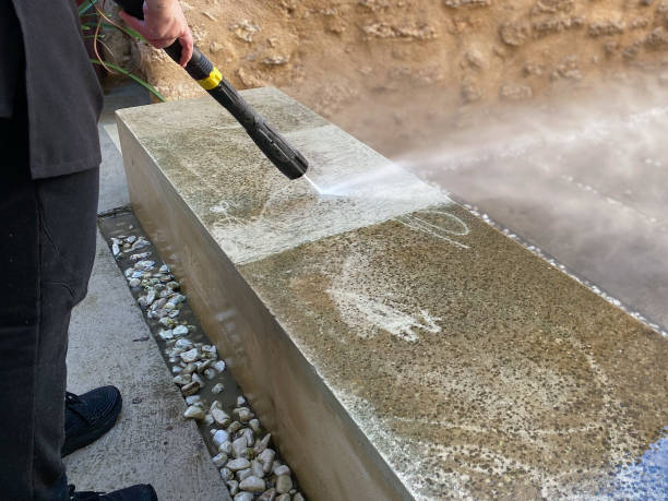Best Power Washing Near Me  in Cactus, TX