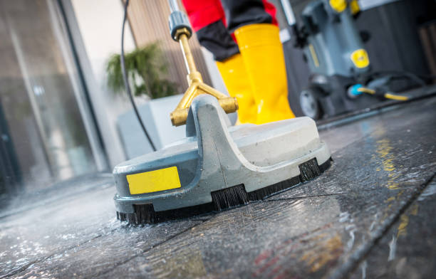 Best Local Pressure Washing Services  in Cactus, TX