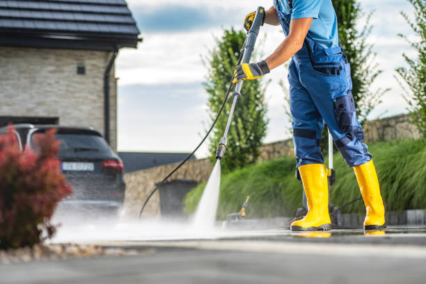 Best Roof Pressure Washing  in Cactus, TX