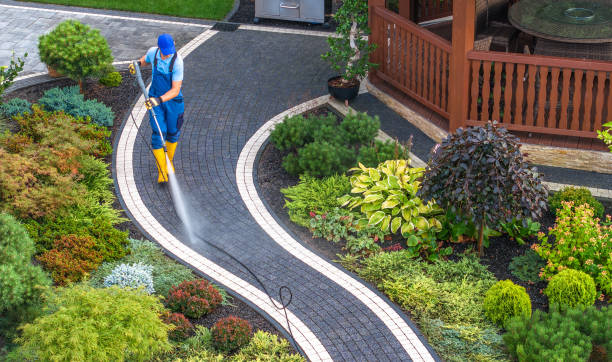 Best House Pressure Washing  in Cactus, TX