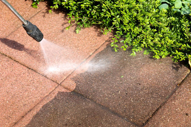 Best Garage Pressure Washing  in Cactus, TX